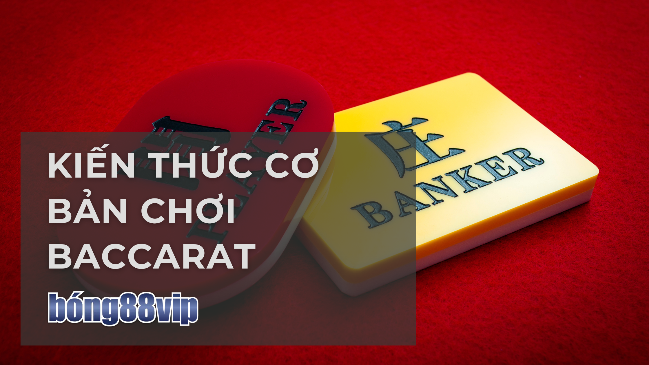 baccarat cơ bản cho người mới