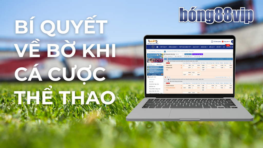 Các chiến lược cá cược thể thao thành công: Bí quyết để tăng khả năng thắng lớn